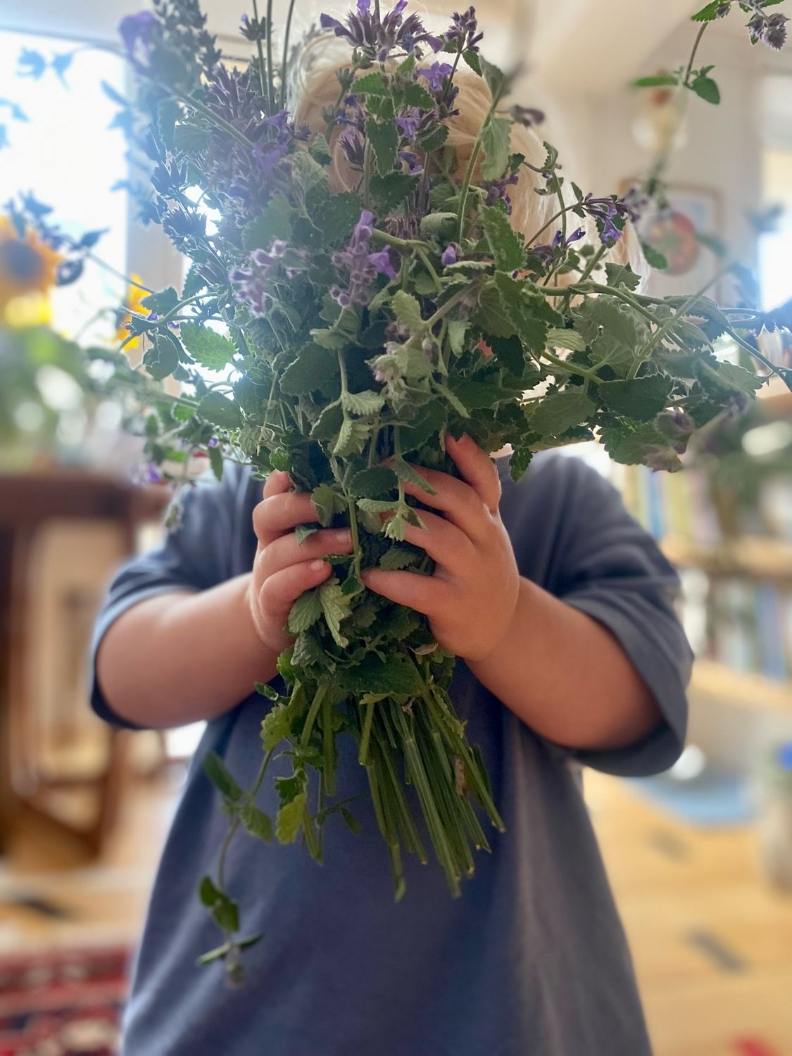 Catnip Tincture