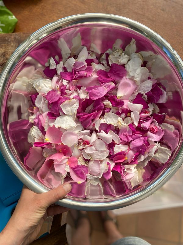 Wild Rose Elixir