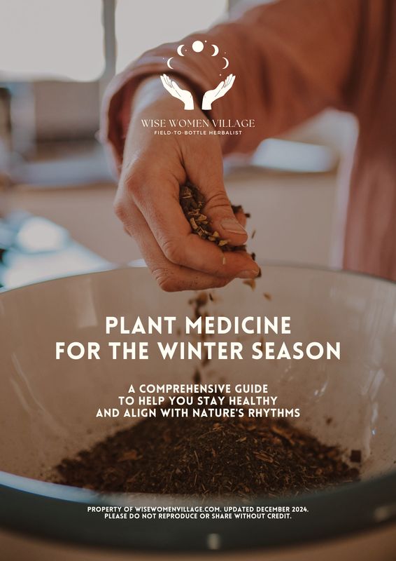 Plant Medicine for the Winter Season