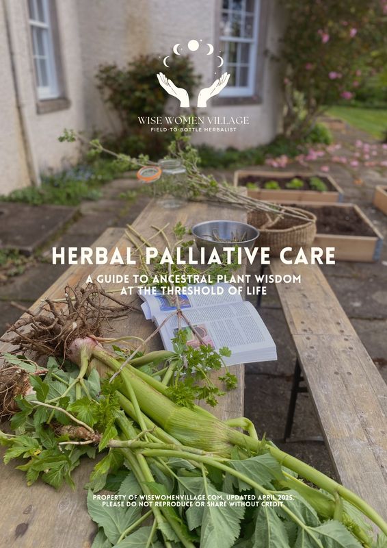 Herbal Palliative Care: A Guide to Ancestral Plant Wisdom at the Threshold of Life