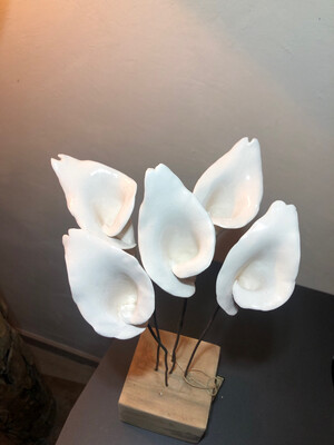 Arums