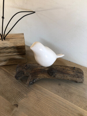 1 oiseau