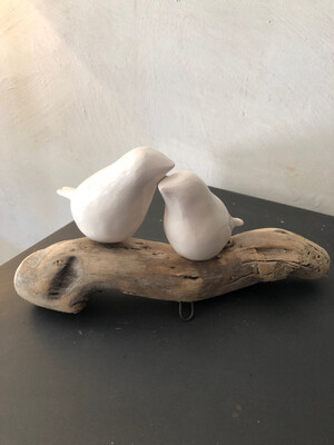 2 oiseaux