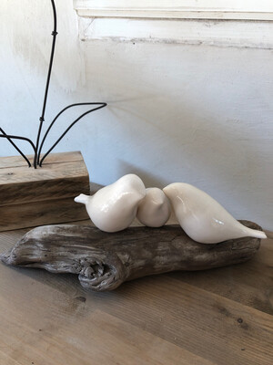 3 oiseaux