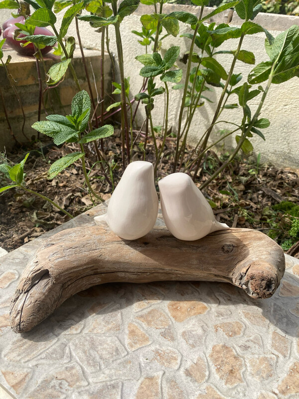 2 oiseaux céramique sur bois flotté