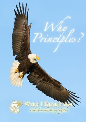 Why Principles