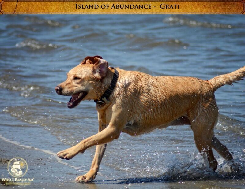 02 Grati the Dog 5 Pack Photos
