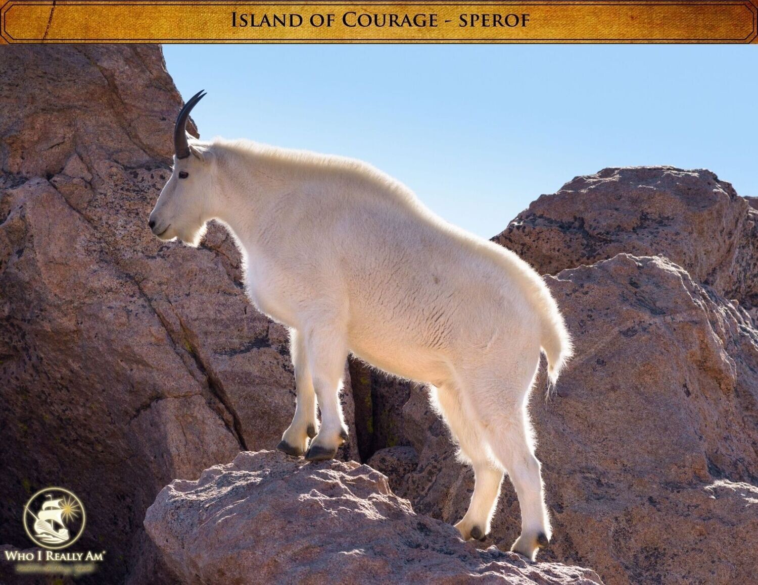 04 Sperof the Goat 5 Photos Pack