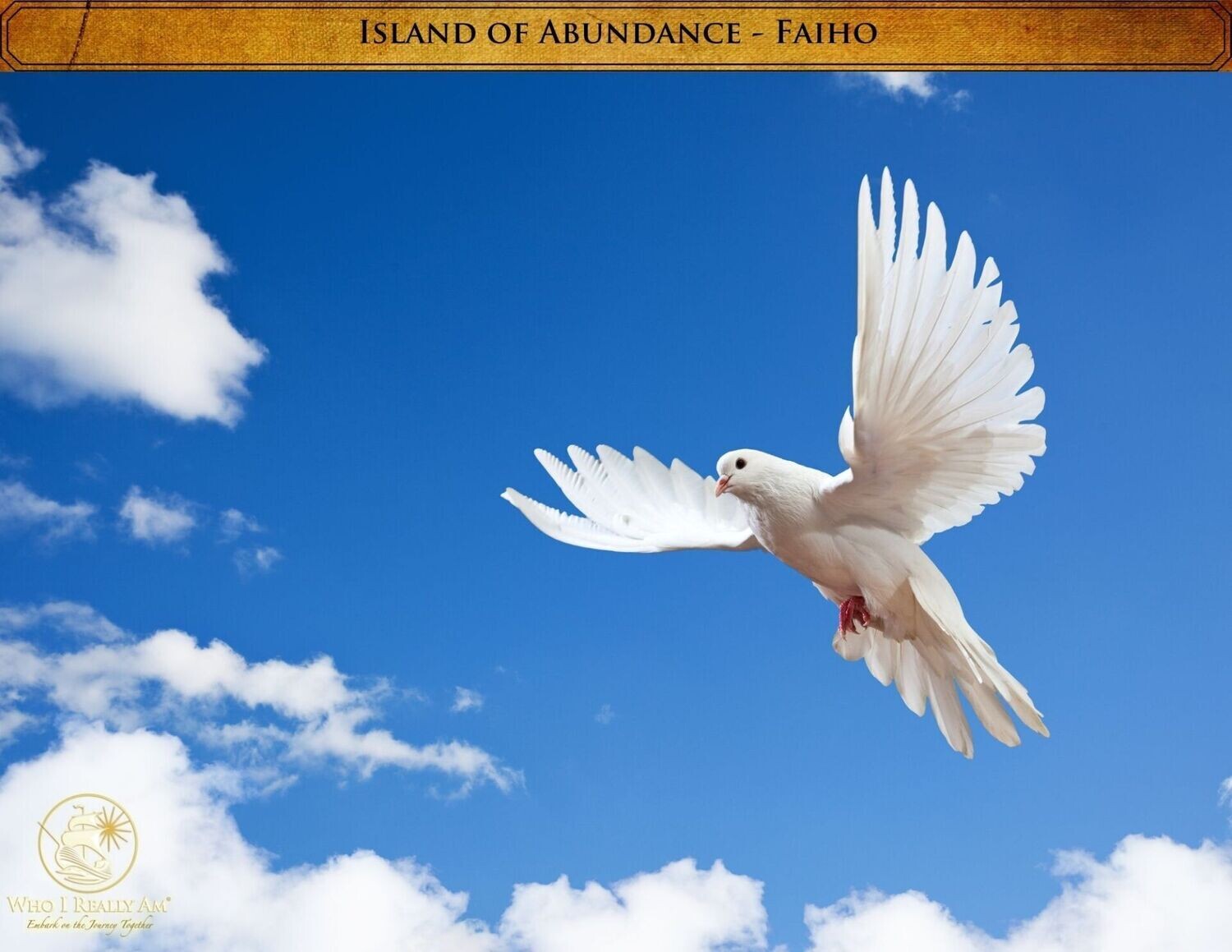 05 Faiho the Dove 5 Pack Photos