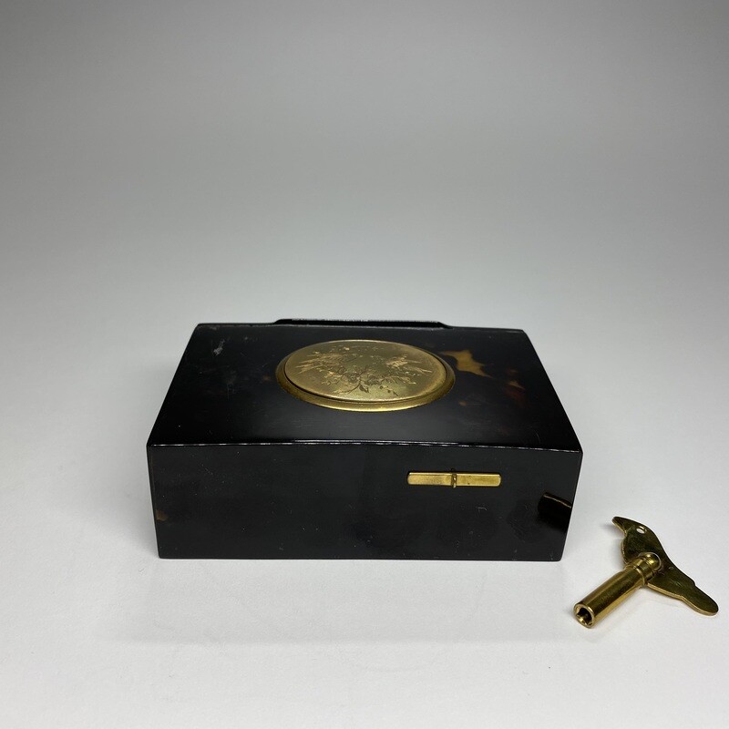 Tortoise Mechanical Hand-Engraved Singing Bird Box by Bontem