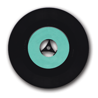 Vinyl Record Conversion, per Record