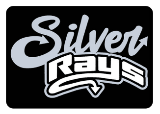 Silver Crewneck Sweatshirt