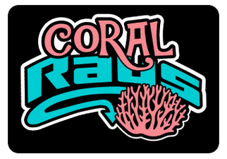 Coral Team Hair Bows