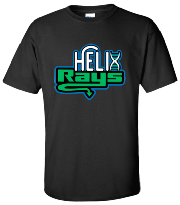 Gildan T-shirt (Helix)