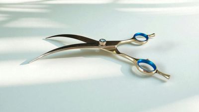 Groomer.dk Blue Stone Extra Curve - 7 Inch