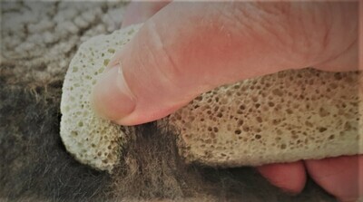 Groomer.dk Stripping Stone - Basic