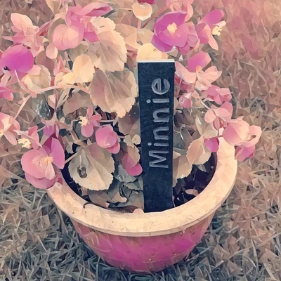 Pet Memorials