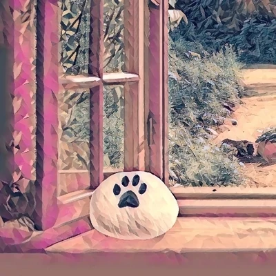 Pet Celebrations