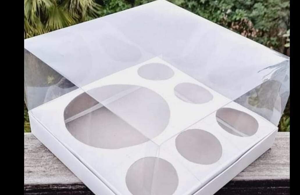 Bento box pack of 10 with 5cup cakes holes
