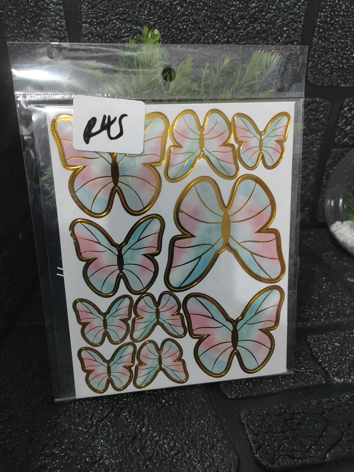 Butterfly