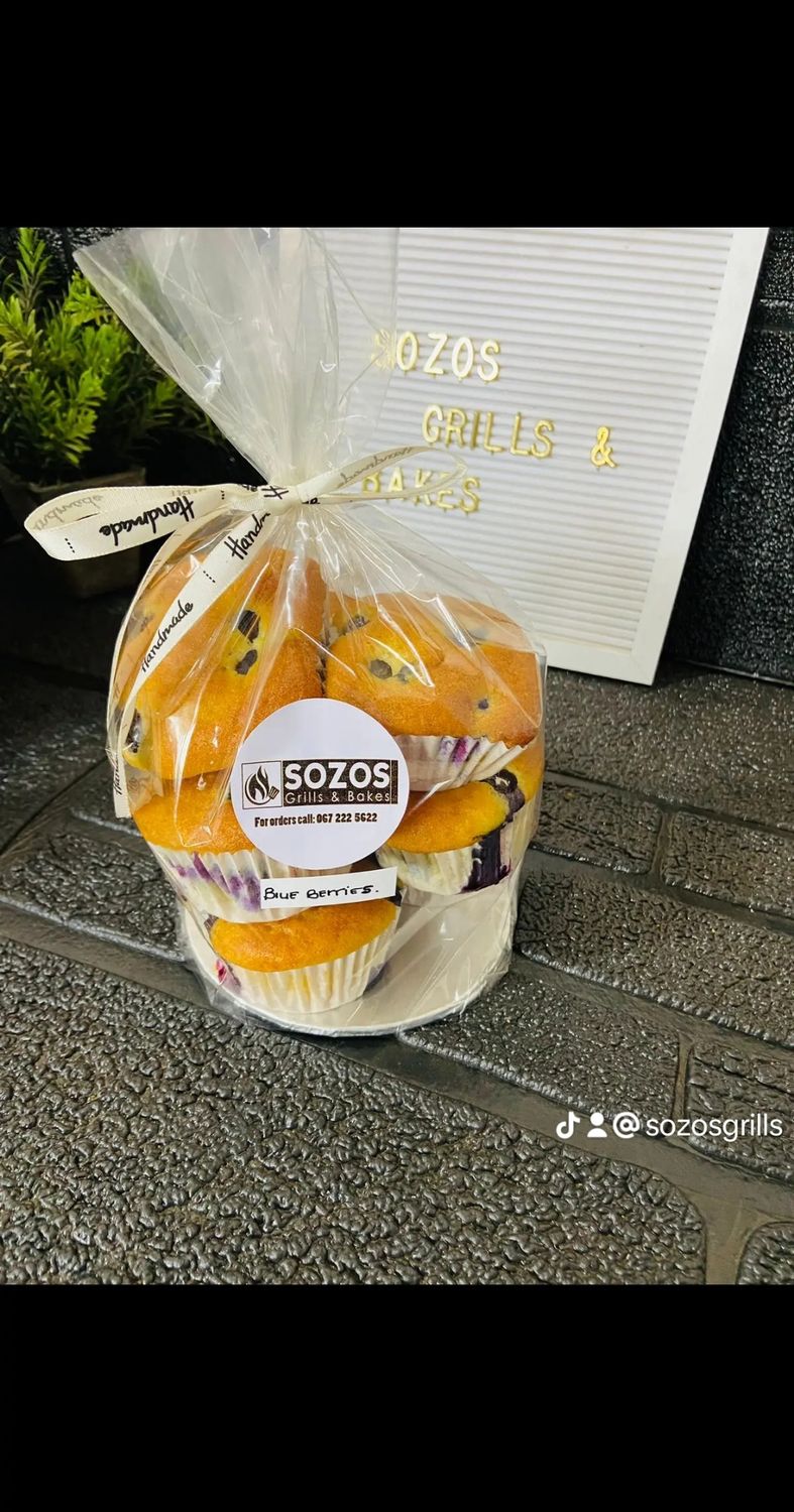 Packaging plastics 34cm x 13cm(100unit)