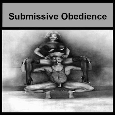 Obedience Training