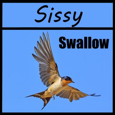 Sissy, Swallow