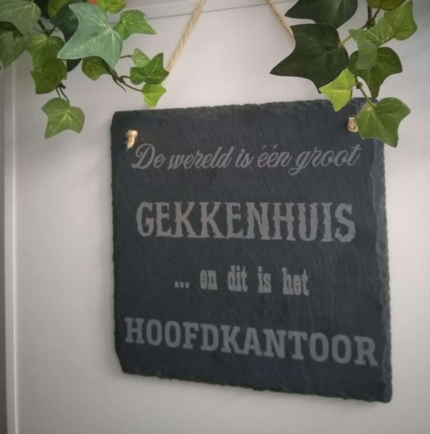 De wereld is een gekkenhuis