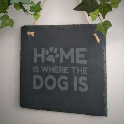 Home is where the dog is