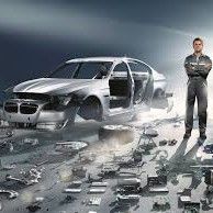 Teilebestellung, BMW und MINI Parts
