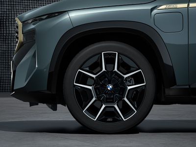 BMW Winterkomplettrad M Doppelspeiche 922M jet black uni 22 Zoll RDCi XM G09 Pirelli