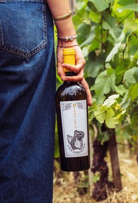 Vini bianchi DOC e tavola