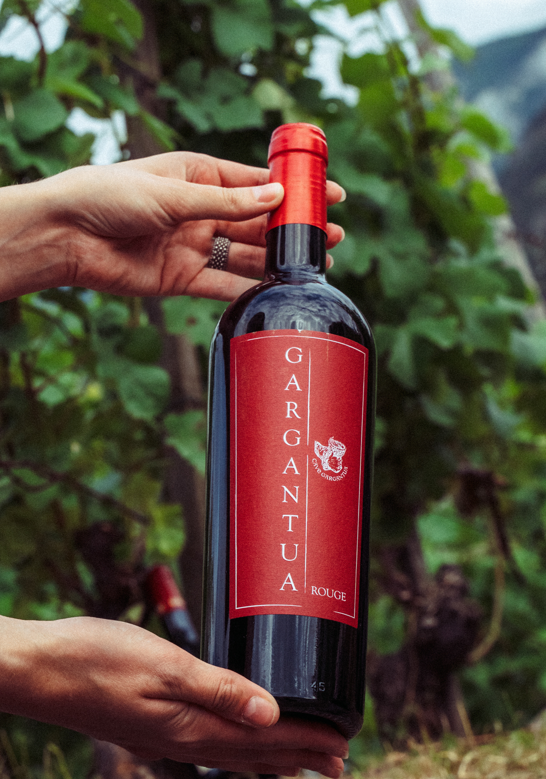 Gargantua Rouge - 0,75 lt