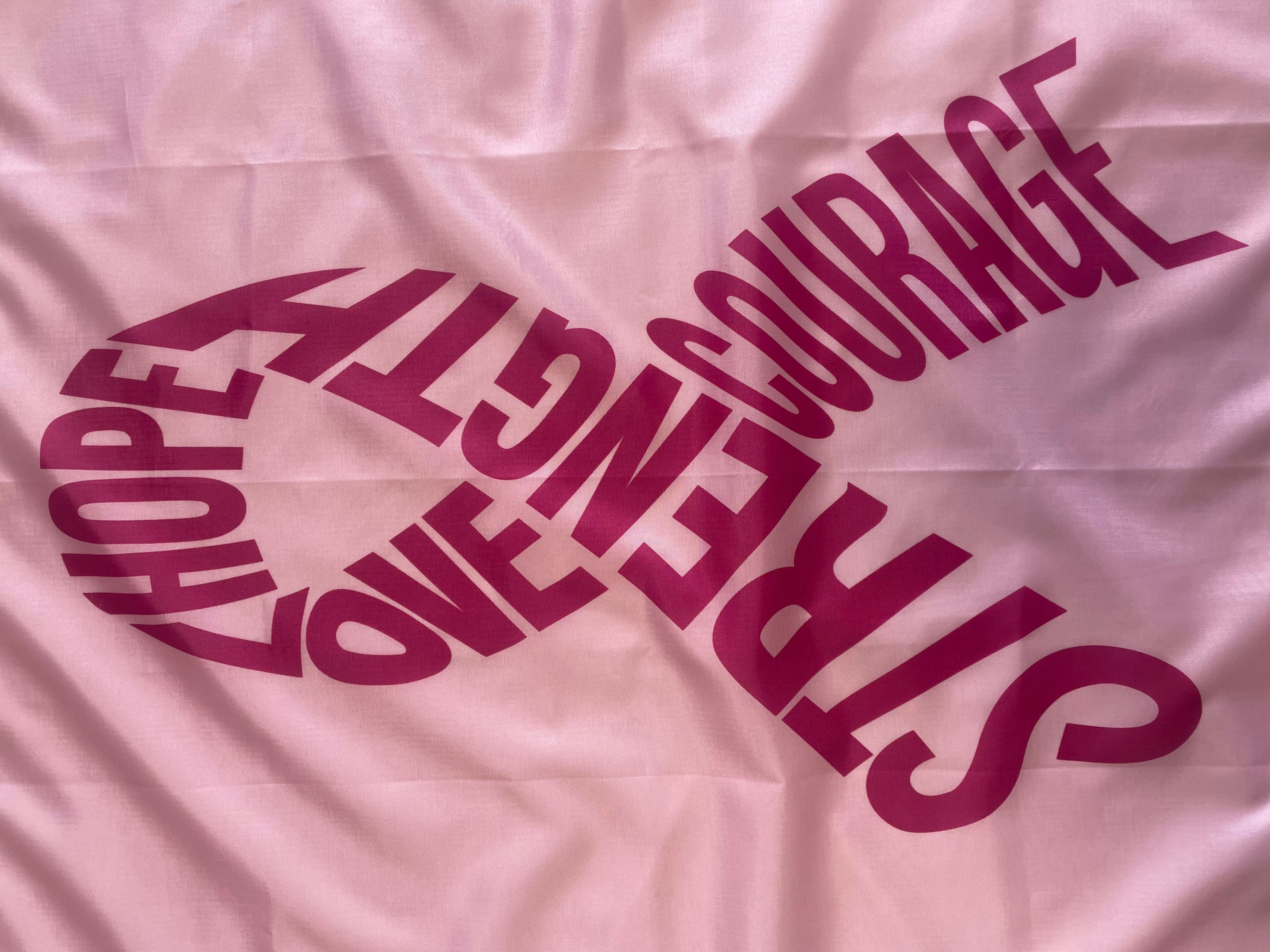 Think Pink flag - ALL proceeds to NorCal Think Pink. Nylon. Made in USA.