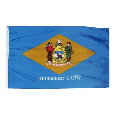 Delaware State Flag 3x5 ft. Nylon SolarGuard Nyl-Glo 100% Made in USA to Official State Design Specifications.