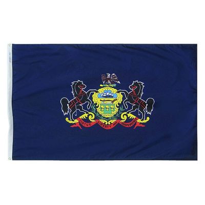 Pennsylvania State Flag 4x6 ft. Nylon SolarGuard Nyl-Glo 100% Made in USA to Official State Design Specifications.