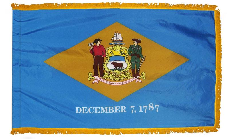 Delaware State Flag 3x5 ft. Nylon with Pole Sleeve and Gold Fringe for Parades, and Indoor Display