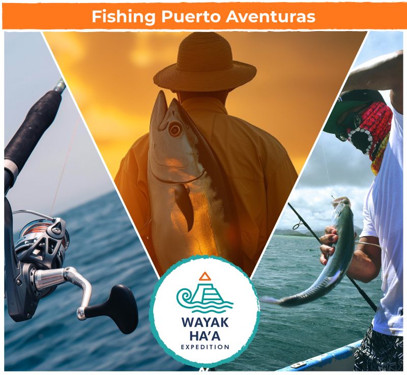 Pesca Puerto Aventuras.