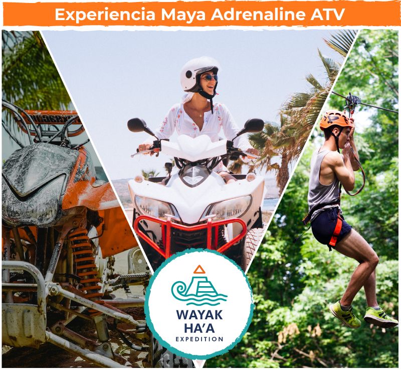 ¡Experiencia Maya Adrenaline ATV desde $88 USD!