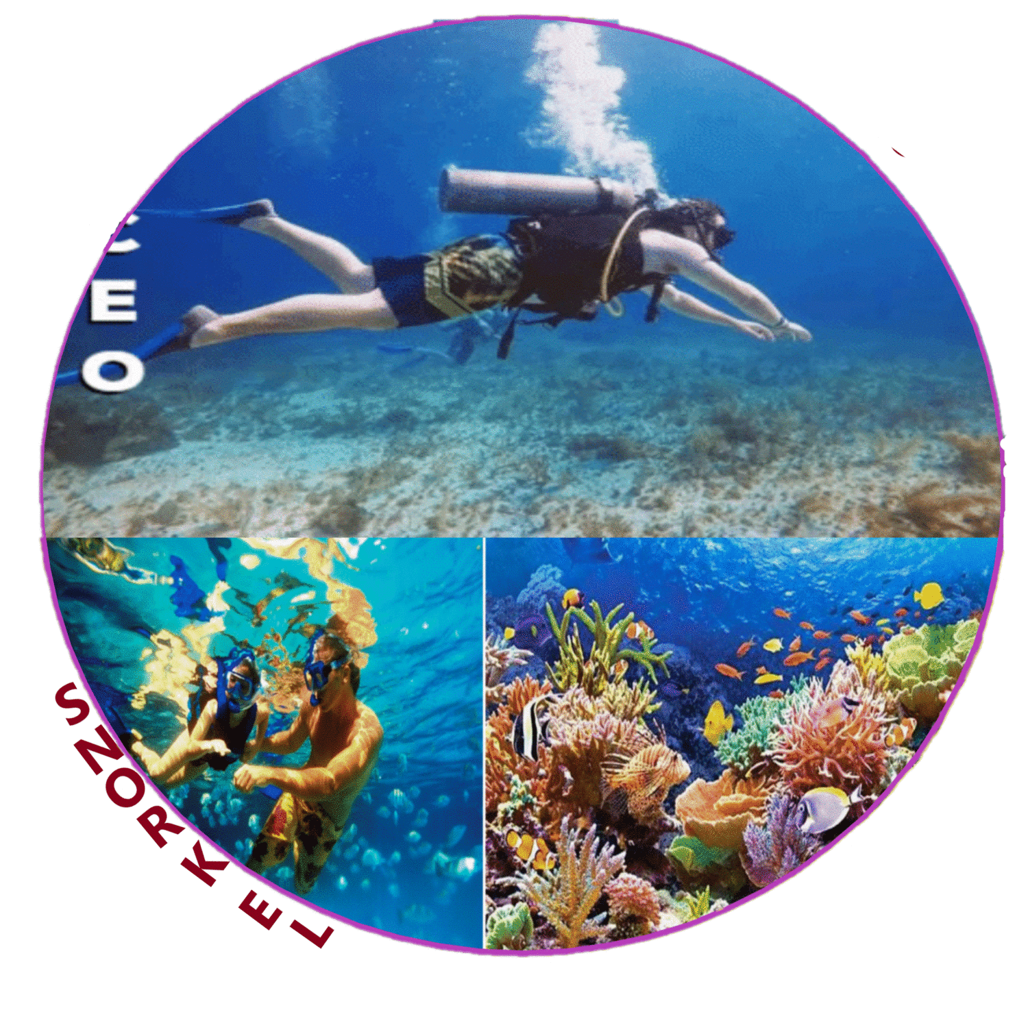 Buceo Cozumel Certificado Y SNORKEL