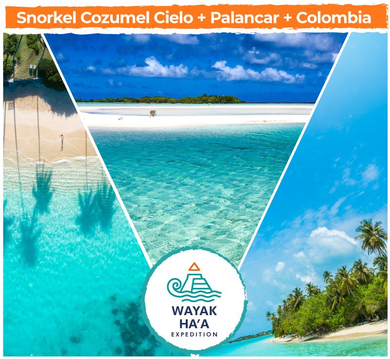 Snorkel Cozumel Cielo + Palancar + Colombia $76 USD