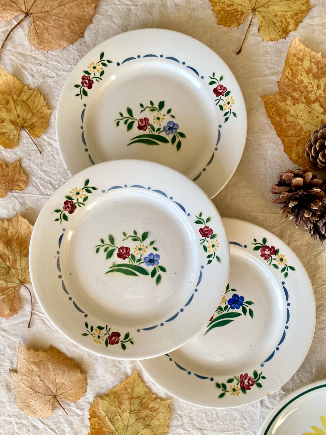 3 assiettes plates "Cauterets" - Digoin Sarreguemines