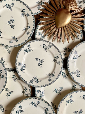 Assiettes plates "Chantilly" - Salins
