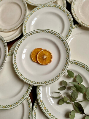 14 assiettes plates Frise verte - Longwy