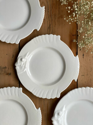 4 assiettes poisson - HB Quimper