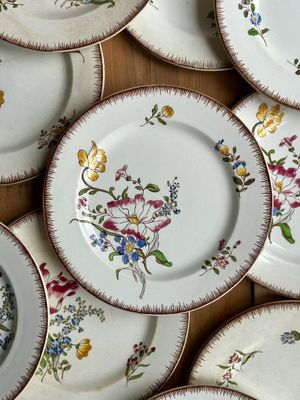 6 anciennes assiettes plates "Strasbourg" - Lot n°2