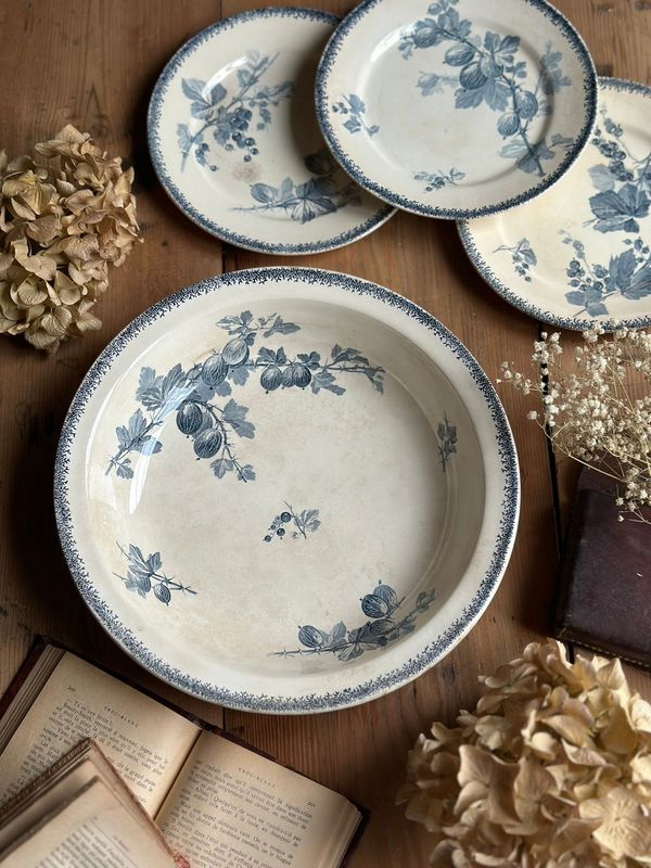 Plat creux "Groseilles" - U&C Sarreguemines