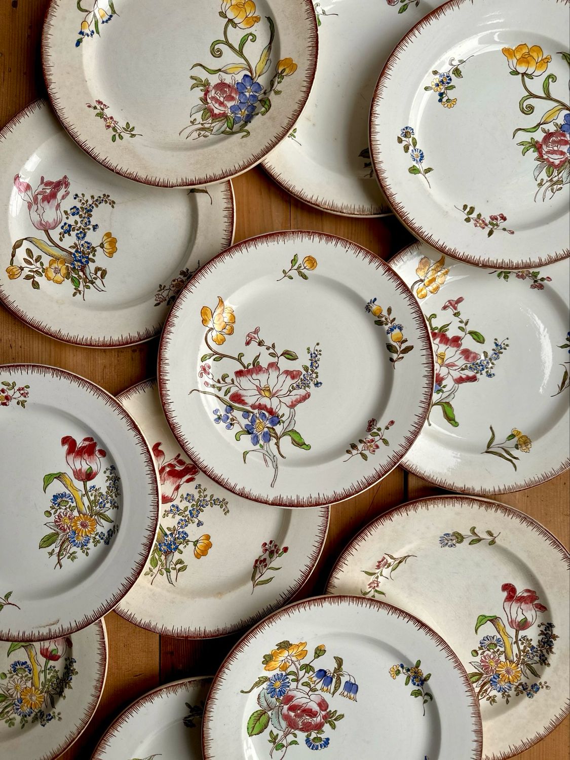 6 anciennes assiettes plates "Strasbourg" - Lot n°1