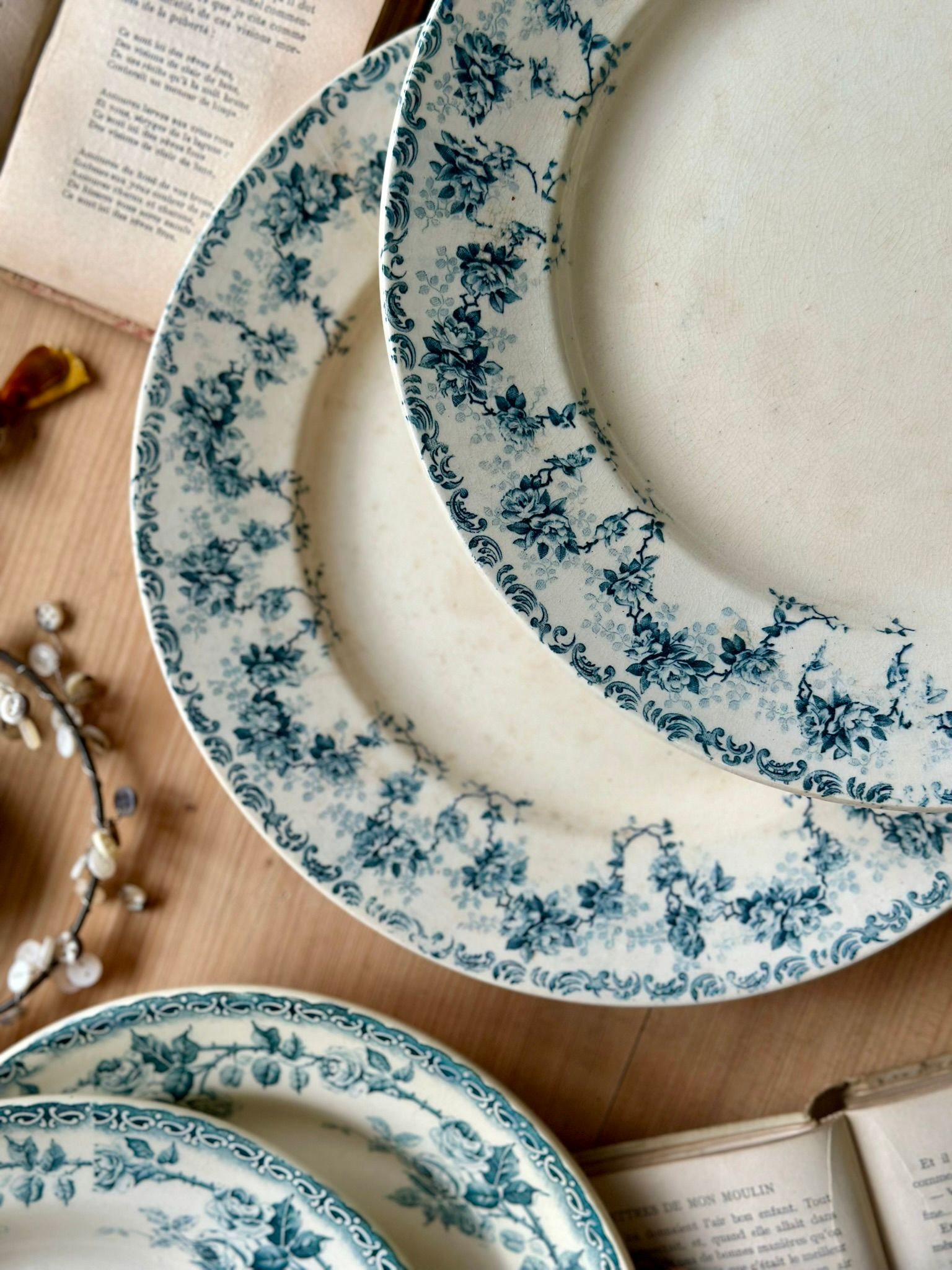 Duo de grandes assiettes 