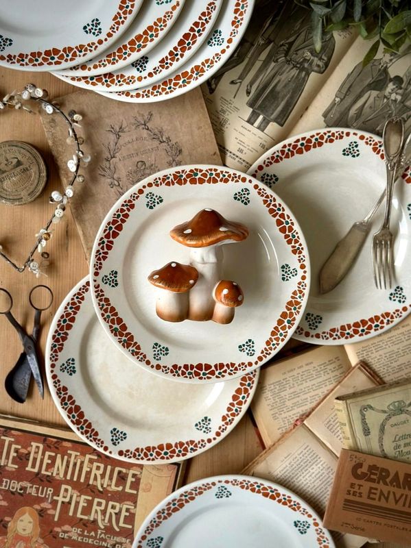 12 assiettes "Yvette" - Faïenceries Nouvelles de Givors